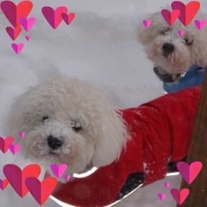 Meet your Posher, Leanne